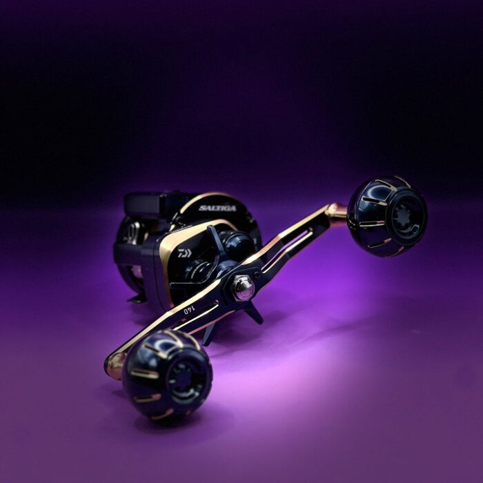 Daiwa saltiga IC 2023 04