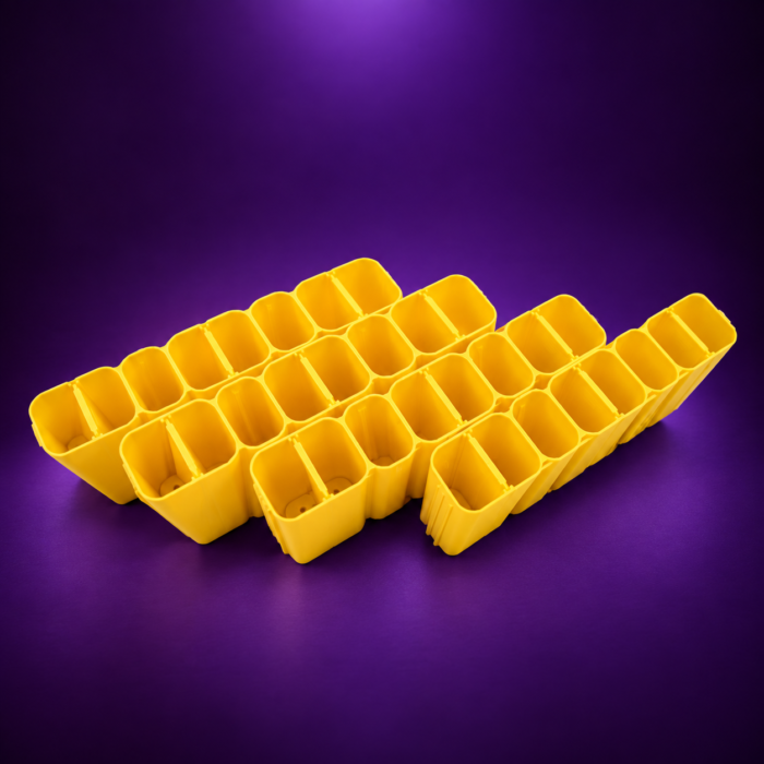 2026/09/1000023209.png